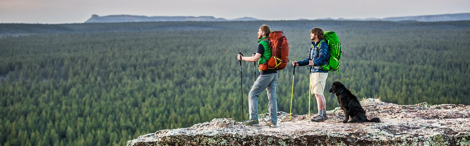 Osprey Shop -Osprey Shop 1